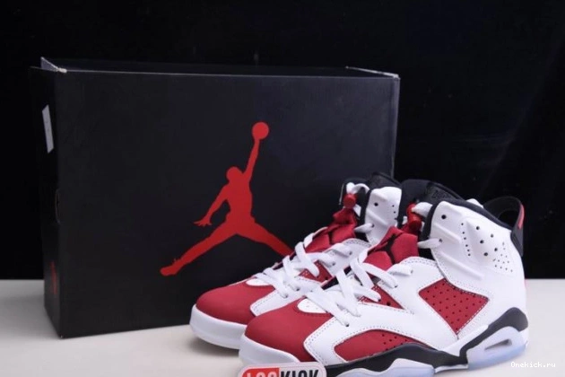 One Kick AIR 'CARMINE' RETRO 6 2021 JORDAN CT8529-106 0802